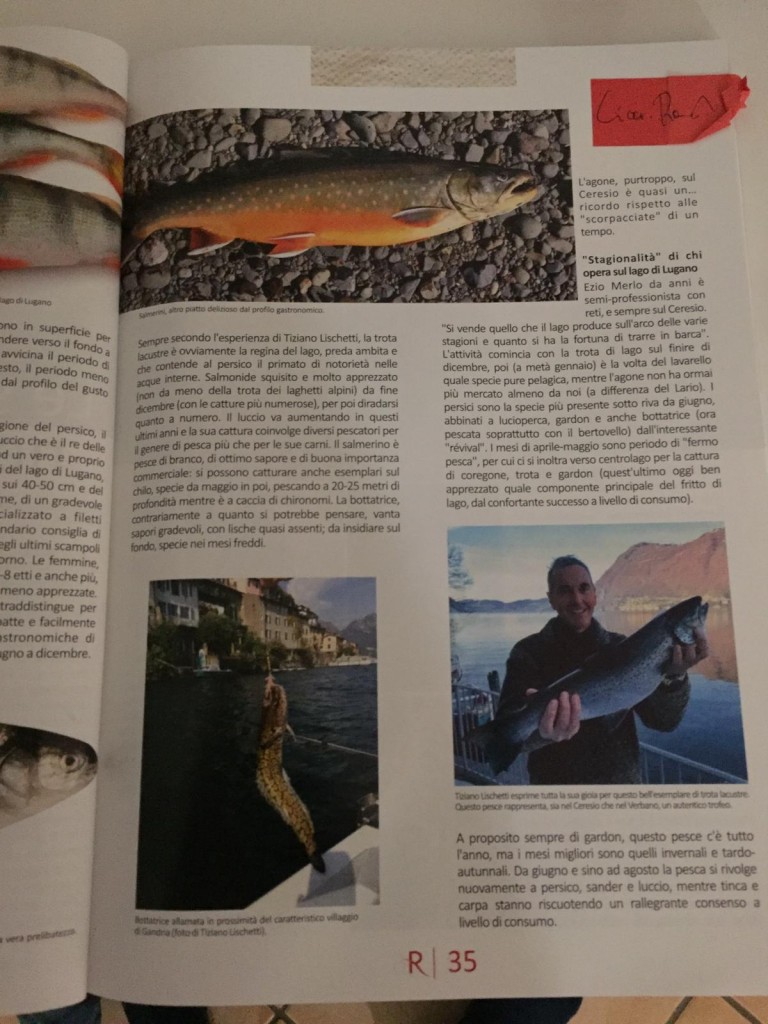 PUBBLICAZIONI E PESCA