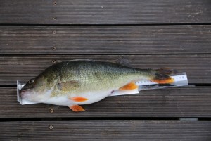 img_5859