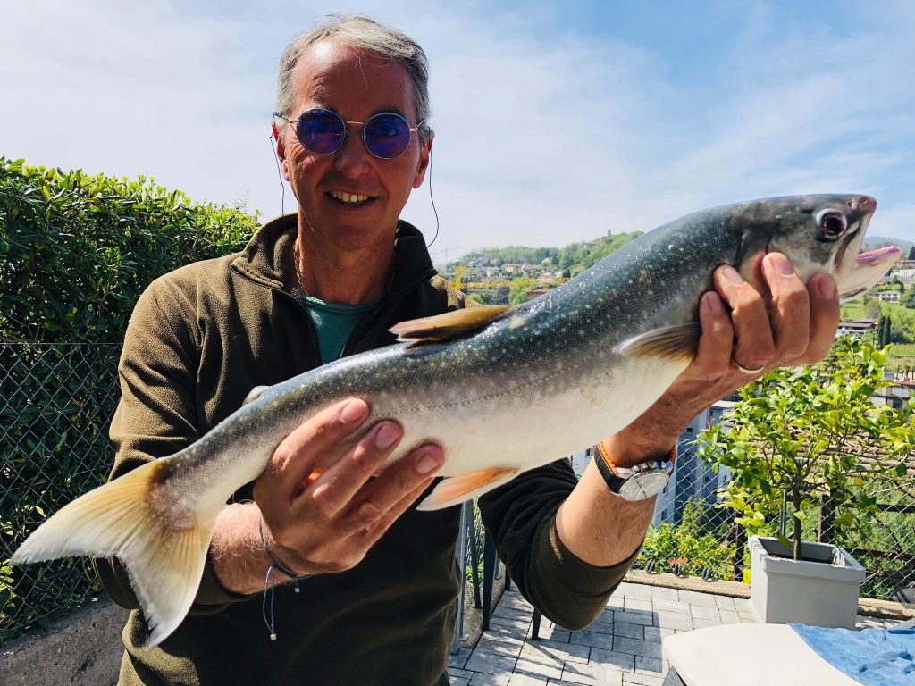 SPLENDIDO SALMERINO