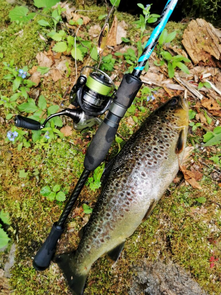 A Fario con le canne Lisca Fishing