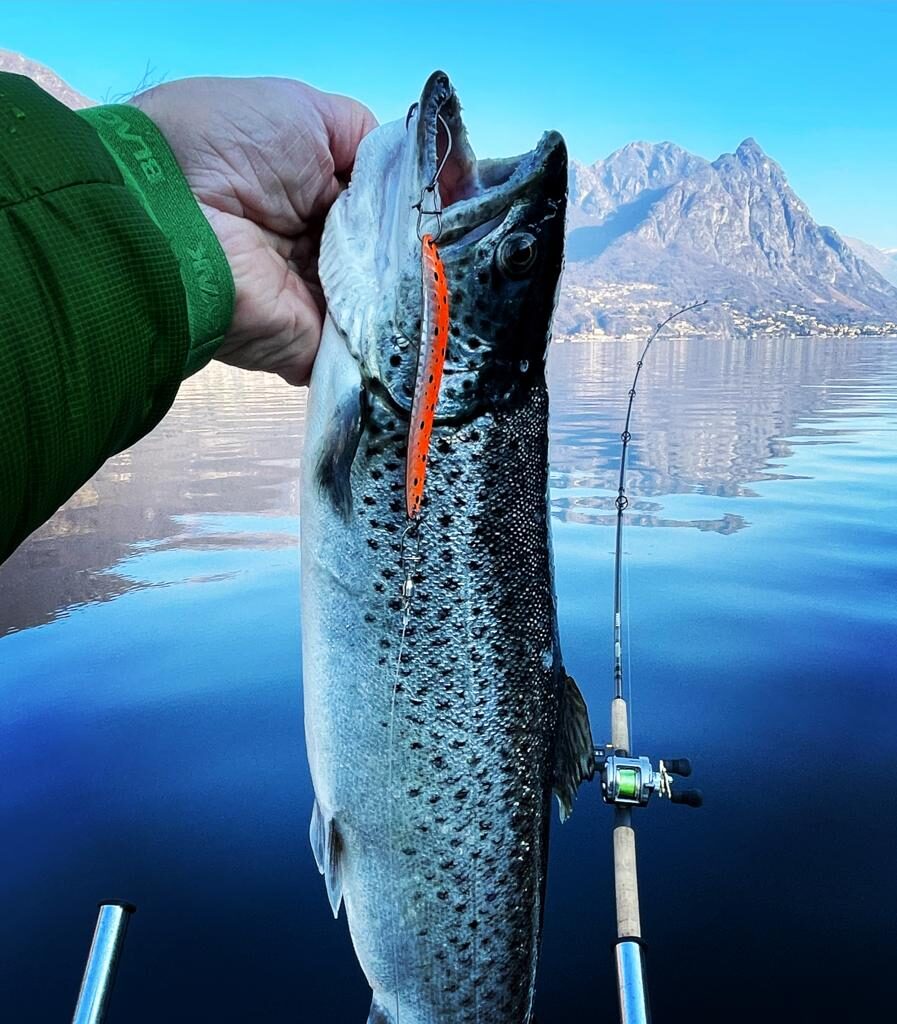 Lacustre con Ondulanti Swiss Salmo Brush