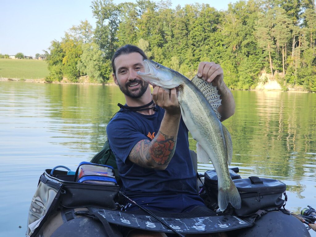 Lucioperca in Belly Boat